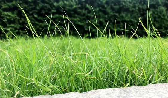 环保知识进社区——第一站,我们来到了这里