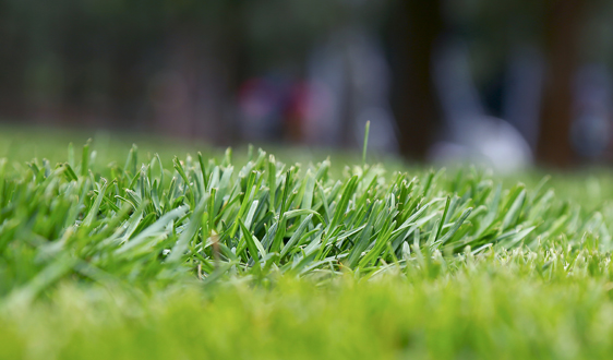 国家大力推广新能源不只是为了环保,调整能源结构才是重中之重