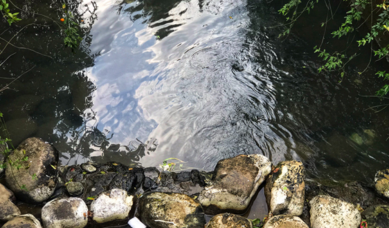 一批环保法律法规正制定修订 环境损害赔偿制度有望入法